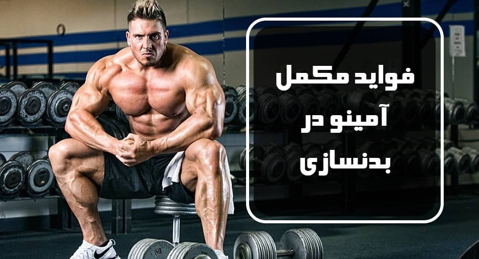 فواید مکمل آمینو در بدنسازی